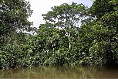 动漫竞技TPS《卡拉彼丘》PC国际服11月22日上线 